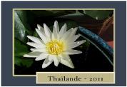 Thailande